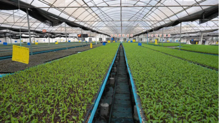 從&ldquo;難繁&rdquo;到&ldquo;南繁&rdquo;丨強&ldquo;芯&rdquo;,強心!