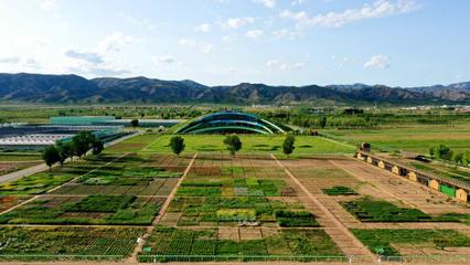 內(nèi)蒙古草種業(yè)技術(shù)創(chuàng)新中心獲批!加快向&ldquo;國家級&rdquo;目標(biāo)邁進(jìn)