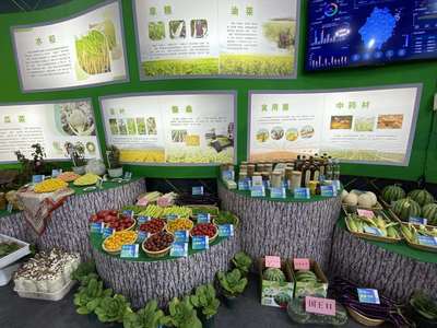 超級稻品種數(shù)量全國第一 種業(yè)發(fā)展助力浙江農(nóng)業(yè)提質(zhì)增收