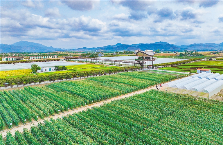海墾集團(tuán)堅(jiān)持“項(xiàng)目為王”，多舉措推進(jìn)產(chǎn)業(yè)升級與墾地融合