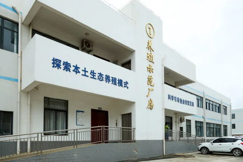 文昌馮家灣現代化漁業產業園 打造水產種業硅谷，讓水產住進“別墅”