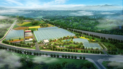 加強(qiáng)國際交流合作，推進(jìn)花卉種業(yè)再上新臺階