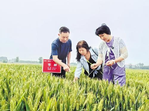 國家級展會賦能，洞見中國種業(yè)發(fā)展的新機(jī)遇